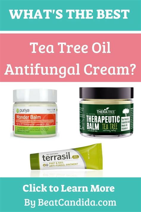 Did You Know That An Antifungal Cream With Tea Tree Oil