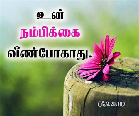 tamil wallpapers  mobile gallery