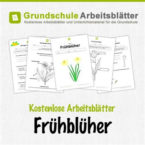 kostenlose arbeitsblaetter fruehblueher fruehblueher