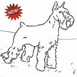 Coloring Dog sketch template