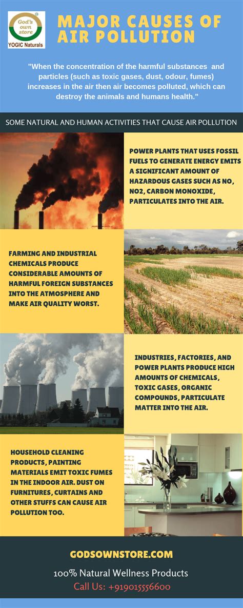 air pollutions infographic