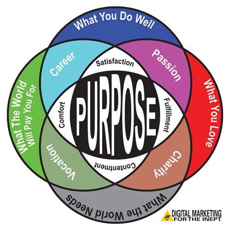 purpose  life infographic
