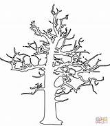 Dead Tree Coloring Pages Drawing Printable sketch template