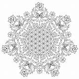 Coloring Pages Flower Adults Mandala Printable Flowers Colouring Adult Kids Rose Detailed Life Sheets Color Print Rocks Complex Books Book sketch template