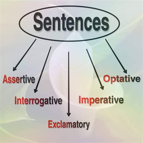 sentence kinds  sentences english grammar ielts exams