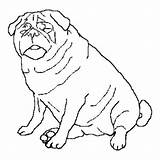 Dog Coloring Pug Fat Pages Realistic Big Red Color Clifford Cat Drawing Puppy Newfoundland Printable Pugs Husky Dogs Print Cute sketch template