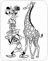 Mickey Coloring Safari Mouse Pages Disneyclips Friends Disney Goofy Donald Funstuff sketch template