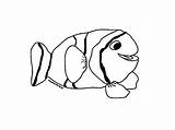 Clown Fish Coloring Pages Draw Drawing Kids sketch template