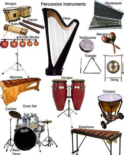 musical percussion instruments percussion instruments   notes  guitar