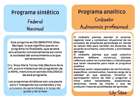 programa sintentico  analitico programa sintetico programa analitico