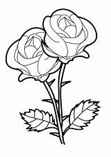 Coloring Rose Pages Clipart Vines Clipartbest Draw Drawings Special sketch template