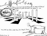 Isaiah Prophet Christian sketch template