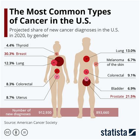 what are the most leading types of cancer in america infographic
