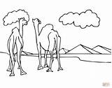 Camellos Ausmalbilder Kamele Piramide Pyramide Camels Ausmalbild Pyramids Pirámides Mirando Ausdrucken Kostenlos sketch template