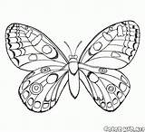 Colorkid Malvorlagen Schmetterling Flug sketch template