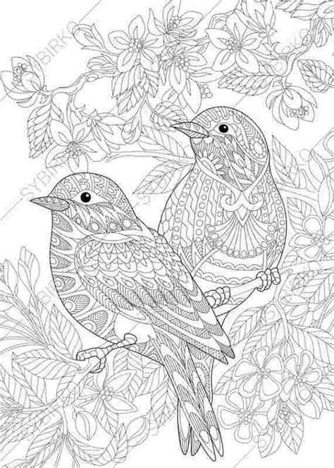bird coloring pages  adults   bird coloring pages animal