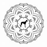 Mandala Greyhound Colouring Adult sketch template