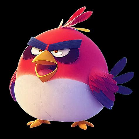 create meme angry birds angri birds angry birds angry birds