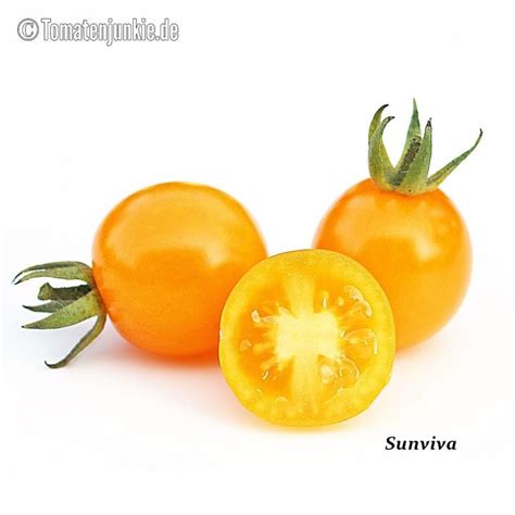 sunviva sortenbeschreibung tomatenjunkie