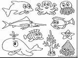 Marine Ecosystem Drawing Biome Coloring Ocean Getdrawings Pages sketch template