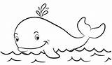 Mewarnai Gambar Hewan Paus Ikan Aneka Hiu Lucu Buku Kunjungi Pilih Papan sketch template