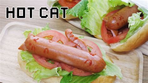 [몽브셰] 언더테일 핫캣 undertale hot cat youtube
