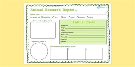 animal report template writing frames twinkl twinkl