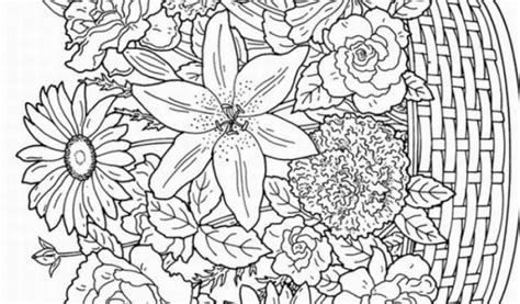 autumn coloring pages  adults  printable cv