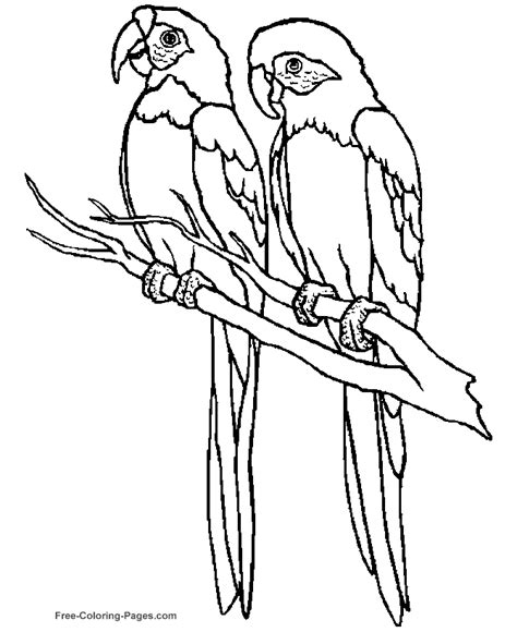 printable bird coloring pages parrot