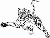 Coloring Tigers Pages Kids Print sketch template