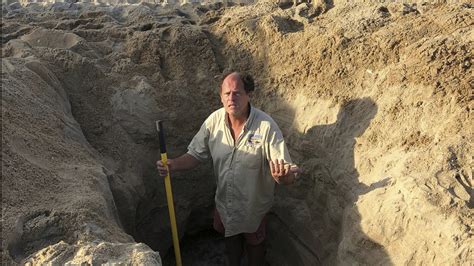 digging deep holes on the beach can be deadly npr