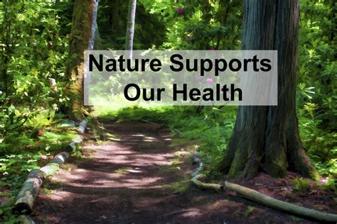 yes nature supports our health natures healing