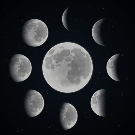 moon phase set  vector art  vecteezy