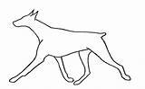 Doberman Coloring Pages Drawing Pinscher Move Printable Dpca Colouring Preschool Drawings Breeder Education Getdrawings Homework Enjoyable Worksheets Includes Section Age sketch template