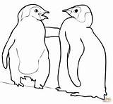 Emperor Kaiserpinguin Ausmalbild Colorear Penguins Pinguine Gentoo Ausmalen Zum Galapagos Coloringhome Comiendo sketch template