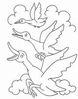 Ducks Flying Kids Coloring Printable Duck Pdf Open Print  sketch template