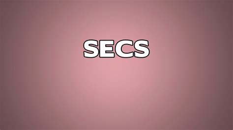 secs meaning youtube