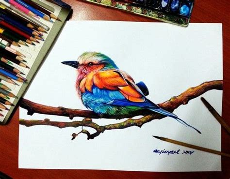 art bird  colorful image bird drawings colorful drawings cartoon