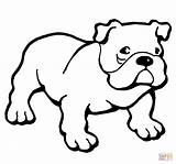 Bulldog Coloring Pages Printable English American Color Dog Puppy Bulldogs Print Ausmalbilder Drawing Animals Colouring Hund Sheets Template Supercoloring Kids sketch template