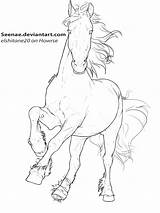 Lineart Friesian Horse Cantering Drawing Deviantart Drawings Getdrawings sketch template