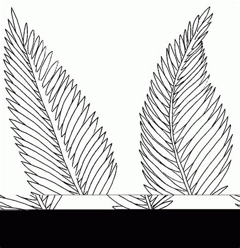 palm leaf coloring pages coloring home