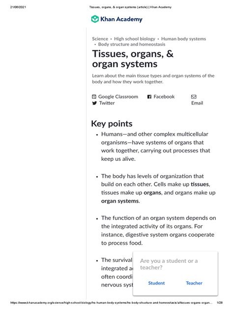 Tissues Organs And Organ Systems Article Khan Academy Pdf