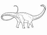 Diplodocus Dinosaur sketch template