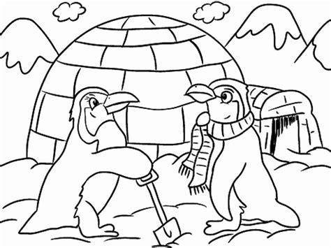 winter animals coloring pages   printable winter coloring pages