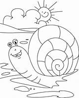 Snail Slakken Schnecken Kleurplaten Schnecke Getdrawings Kleuters Malvorlagen sketch template