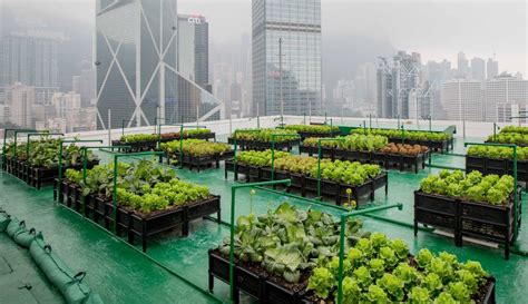 urban farming  soft mobility transforming cities urbanizehub