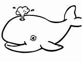 Whale Coloring Drawing Pages Jonah Printable Humpback Drawings Kids Outline Color Book Getcolorings Clipart Clipartmag Imposing Decoration Print Paintingvalley sketch template