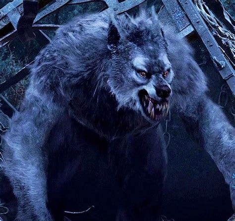 grey werewolf van helsing vankia