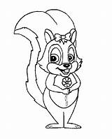 Colorat Planse Squirrel Veverite Animale Desene sketch template