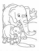 Elefantes Elephant Colorear Bebes Selva Elefante Desenho Elephants Bebé Tudodesenhos Bestcoloringpages Colorea sketch template